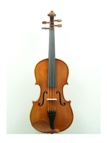 SriRaaga Semi-Handmade Violin (SV2004S2)